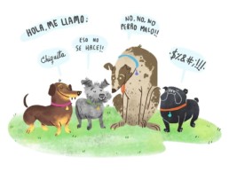 Raza de perro